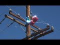 Mylar Balloon Safety
