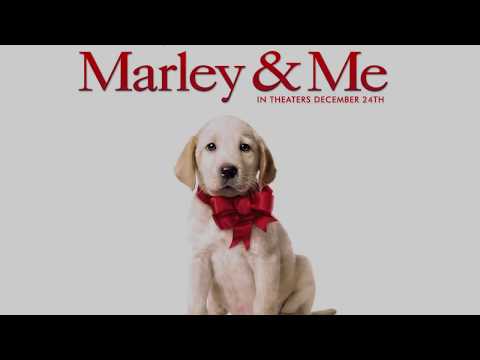 Theodore Shapiro - Heading Home HQ (Marley & Me)