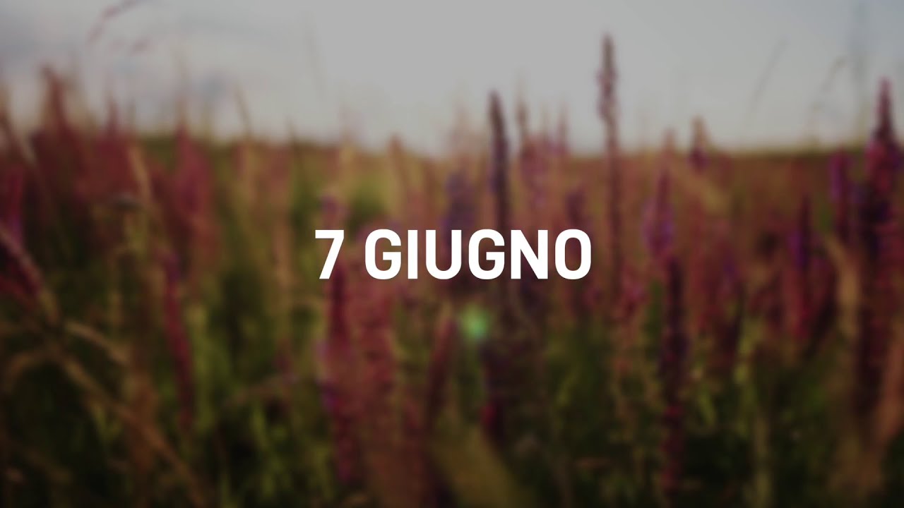 7 Giugno 2025 | Meditazione Parole di Vita