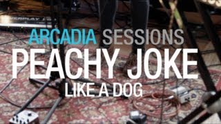 Peachy Joke - Like a Dog (Arcadia Sessions)