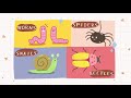Little Syne-Two Large Groups (Invertebrates and Vertebrates) [Official Animated Music Video]