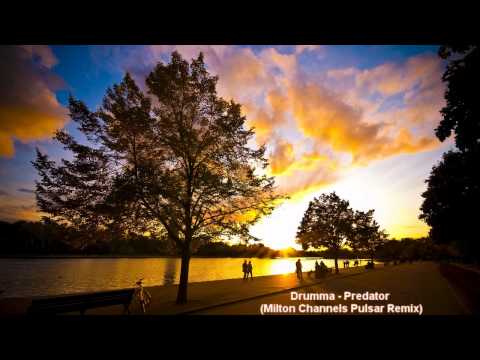 Drumma - Predator (Milton Channels Pulsar Remix)