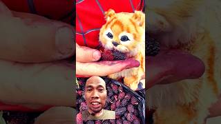 Download lagu Awalnya diremehkan, akhirnya bikin semua terdiam! 😲 #Inspirasi #shorts #comedy #funny #viralshort mp3