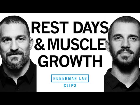 How to Know If You Need a Rest Day | Dr. Andy Galpin & Dr. Andrew Huberman