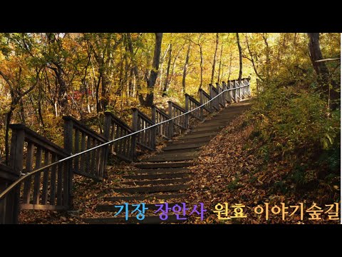 원효 이야기 숲길 기장 장안사에서