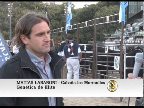 Matias Labaroni - Cabaña Los Murmullos - Genetica de Elite