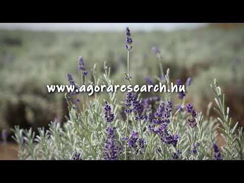 A közösség felemel! - Települési közösségépítés (TCR2)