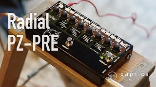 Video thumbnail for Radial PZ-PRE by paprica music