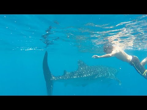 From Nosy Be With Love