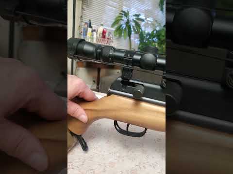 Beeman Chief – The Value King