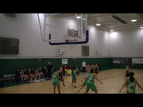 Wildcats feb 2019 highlights