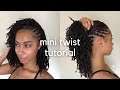 A Mini Twist Tutorial No Heat Or Hair Added