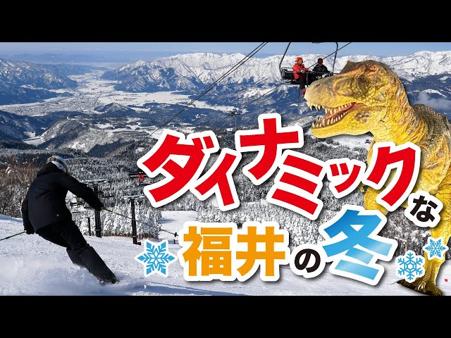 福井でダイナミックな冬を満喫！！ スキージャム勝山と恐竜博物館をたのしもう♪