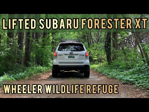 Lifted Subaru Forester On 235/65/17’s (Toyo Open Country AT3, Rough Country 2” Lift)
