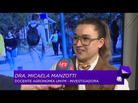 Fertilización estratégica para un maíz de alto rendimiento