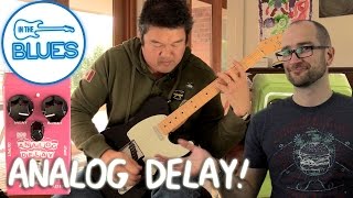 Maxon AD10 Analog Delay - What To Know & Where To Buy | Equipboard