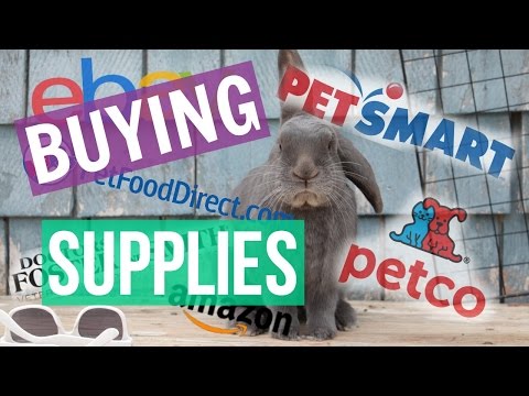 Where I Buy My Pet Supplies