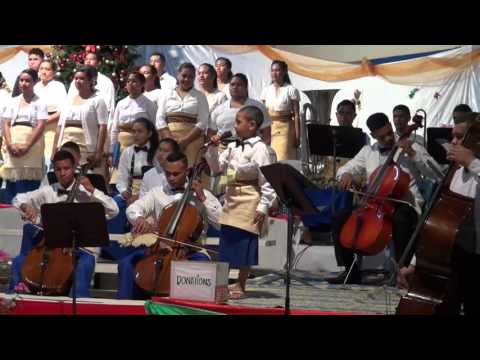 Hallelujah - Tevunga Kata