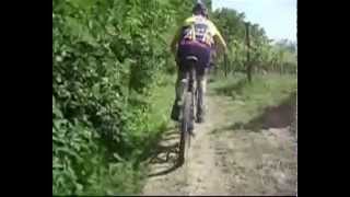 preview picture of video 'Alpin Bike Mossa 6 giugno 2010.wmv'