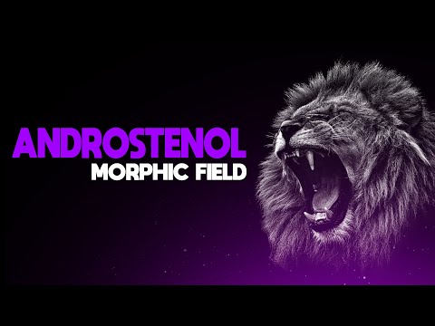 EXTREME ANDROSTENOL - MORPHIC FIELD
