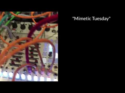 Noise Engineering Mimetic Sequent & Mimetic Multium Combo image 2