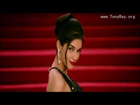 Tony Ray ft Dante   Habibi Official Radio Edit