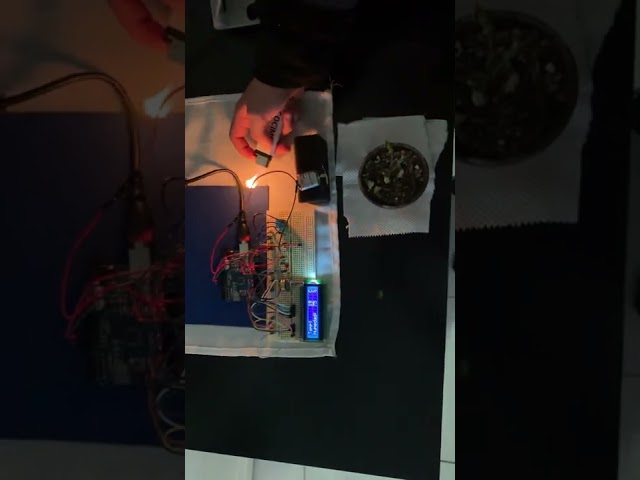 Vídeo relacionado con Termómetro para exteriores de efecto bronce, elegante y fácil de colgar, adecuado para invernadero, garaje