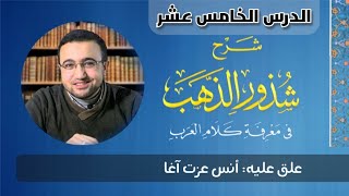 صورة الدرس الخامس عشر من شرح شذور الذهب - أنس عزت آغا