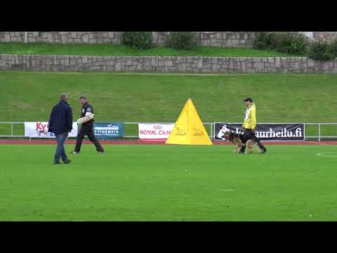 C 95 symppis duudson