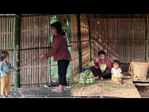 Full Video: 200 Days of Building a Bamboo House by a 16-Year-Old Single Mother  From Start to Finish