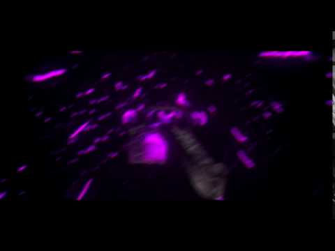 ✘RuiN Kyubii - GIVEAWAY INC.!✘