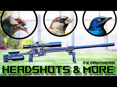 HEADSHOTS & MORE | FX Panthera 700mm | 26gr High BC Slugs | Hunting | Airgun Pest Control |