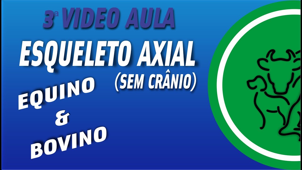 OSTEOLOGIA DE ESQUELETO AXIAL (SEM O CRÂNIO) EQUINO-BOVINO