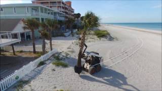 Sunscape Nursery Inc. Palm Tree Install On St. Petersburg Beach