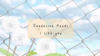 dandelion hands- i like you (lyrics)