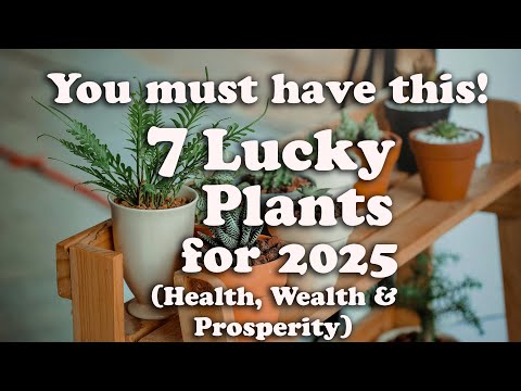 7 Lucky Plants for 2025