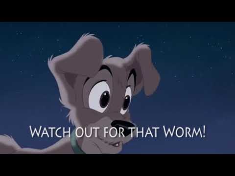 We're Back!: A Wild Animal's Story Part 5 - Scamp Rides on Tanya/Meet Angel