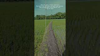 Download lagu Story Wa petani. mp3 Download lagu Story Wa petani. mp3