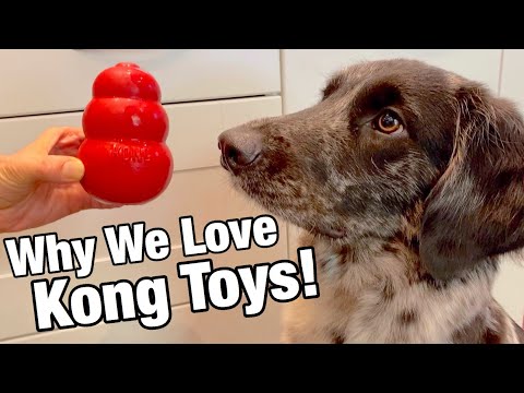 How to use a KONG DOG TOY to feed your dog