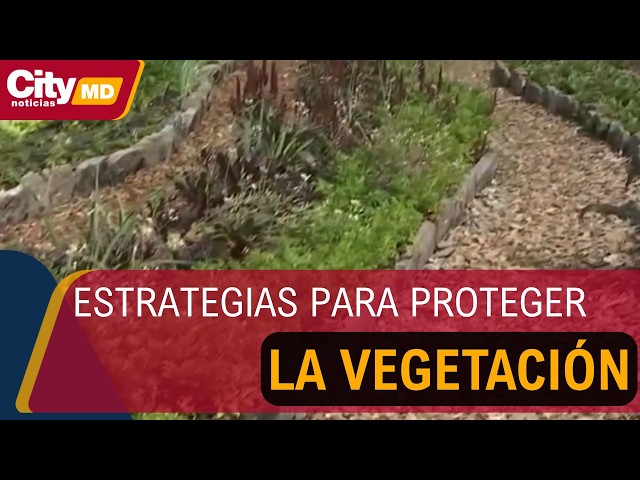 Jardín Botánico aplica “chipeado” para proteger la vegetación ante el fenómeno de El Niño