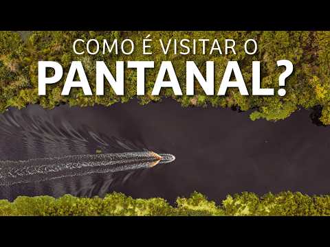 Como é visitar o Pantanal no Mato Grosso do Sul? 