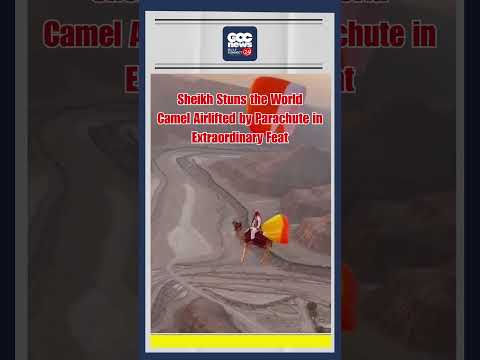 Camels in the Sky? Viral AI Footage Shocks Social Media