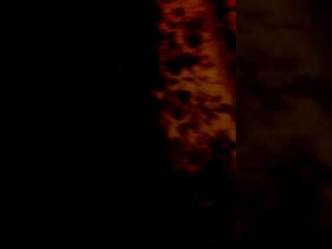 Gniot tigera numer 1