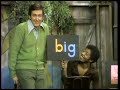 Sesame Street Show 244
