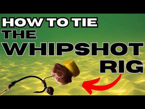 How to Tie: The Whipshot Rig