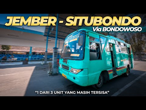 EP. 33 : Jember - Situbondo, Naik Bus yang Gak Ada di Youtube! Bus Roda Mas Asia