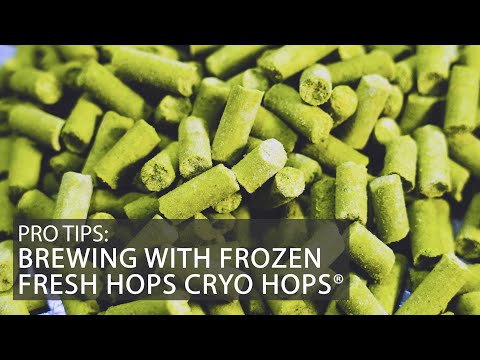 Brewing with Frozen Fresh Hops Cryo Hops! | Videosynthesis Fresh Hop IPA