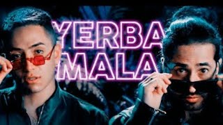 Andy Rivera, Dalmata - Yerba Mala // LETRA