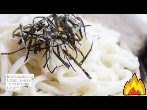 Udon Unveiled 101: A Culinary Journey Through Japan's Noodle Nirvana 🍜🌸