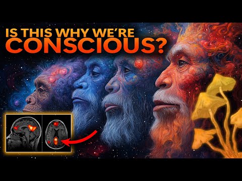 From Eden to Eleusis: The Stoned Ape Theory in Light of New Evidence